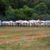 8 prova campionato veneto motocross uisp 2013_16